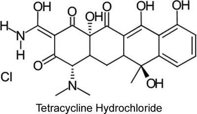 Tetracycline Hydrochloride