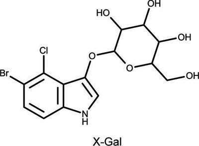 Induction Reagents, AMRESCO