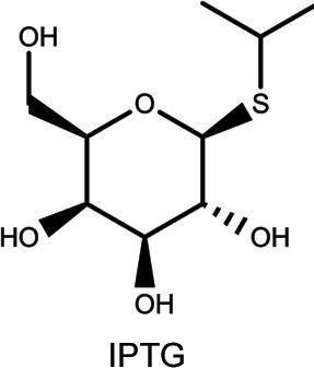 Induction Reagents, AMRESCO