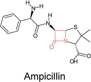 Ampicillin, Trihydrate, Non-Sterile, AMRESCO