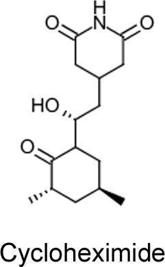 Cyclohexamide Crystalline Ultra Pure Grade