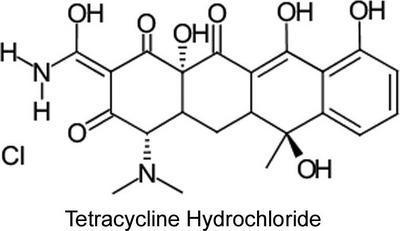 Tetracycline, 50 mg/mL, AMRESCO