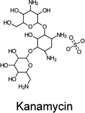 Kanamycin Sulfate, AMRESCO