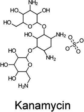 Kanamycin Sulfate, AMRESCO