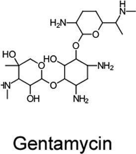 Gentamycin