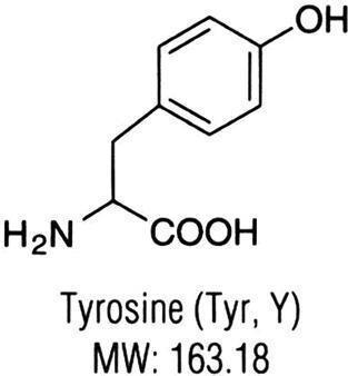 L-Tyrosine, AMRESCO