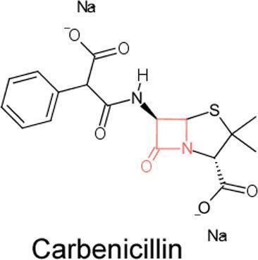 Carbenicillin, Disodium Salt