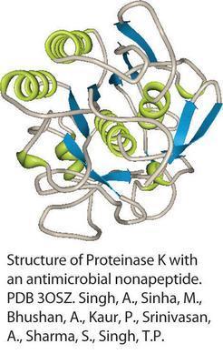 Proteinase K