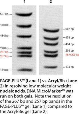 Page-Plus™, AMRESCO