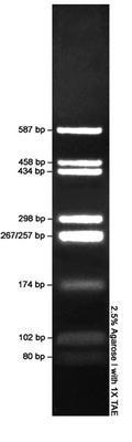 DNA MicroMarker™, AMRESCO