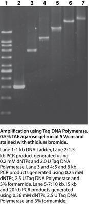 TAQ DNA Polymerase, AMRESCO