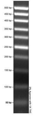 Ready Ladder™ 50 bp DNA Marker, AMRESCO