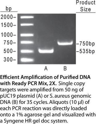 PCR Mix, 2X, AMRESCO