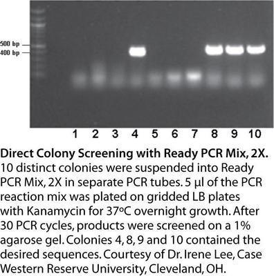 PCR Mix, 2X, AMRESCO