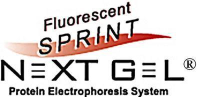 Fluorescent Next Gel® Polyacrylamide Electrophoresis, AMRESCO