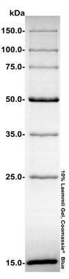 Precise™ Protein Molecular Weight Marker, AMRESCO