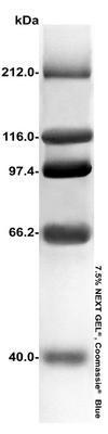 Protein MW Marker, High Range, AMRESCO