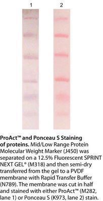 Proact™ Membrane Stain, AMRESCO