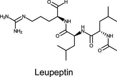 Leupeptin, AMRESCO