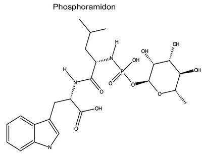 Phosphoramidon, AMRESCO