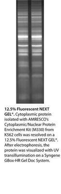 Fluorescent Next Gel® Polyacrylamide Electrophoresis, AMRESCO