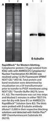 Rapidblock™ Blocking Solution, 10X, AMRESCO