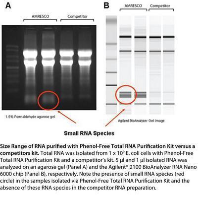 Phenol-Free Total RNA Purification Kit, AMRESCO