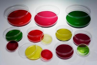 Gosselin Petri Dishes