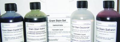 Gram Stain Kits, Azer Scientific