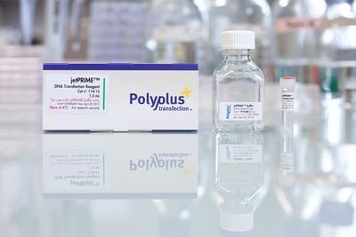 jetPRIME™ DNA and siRNA Transfection Reagent, Polyplus-transfection