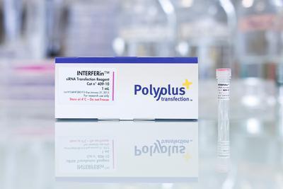 INTERFERin™ siRNA Transfection Reagent, Polyplus-transfection