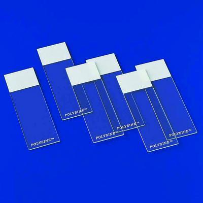 Polysine™ Microscope Adhesion Slides, Erie Scientific