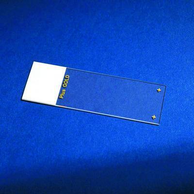 Superfrost® Plus Gold Microscope Slides, Erie Scientific