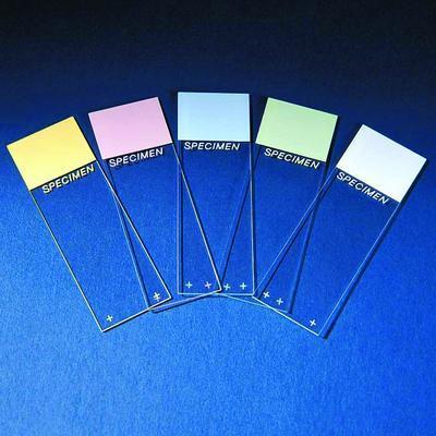 Colorfrost® Plus Microscope Slides, Erie Scientific