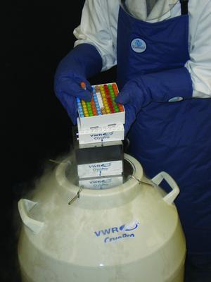 VWR® Cryogenic Protective Aprons