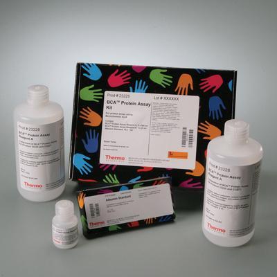 Pierce BCA® Protein Assay Kits, Thermo Scientific