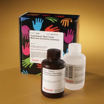 SuperSignal® West Femto Maximum Sensitivity Chemiluminescent Substrate, Thermo Scientific