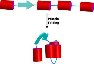 PROTEIN-Foldase™ Protein Folding Kit, G-Biosciences