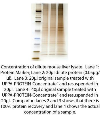 UPPA-PROTEIN-Concentrate™ for Rapid Precipitation & Concentration, G-Biosciences