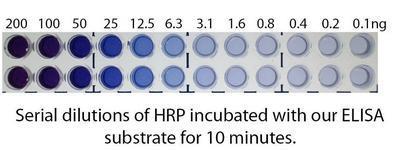 femtoELISA™ Complete ELISA Kit, G-Biosciences