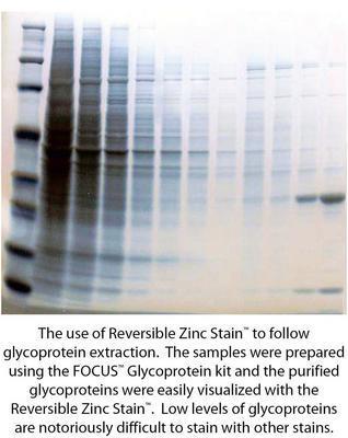 Reversible Zinc Stain™Electrophoresis Gel Stain, G-Biosciences