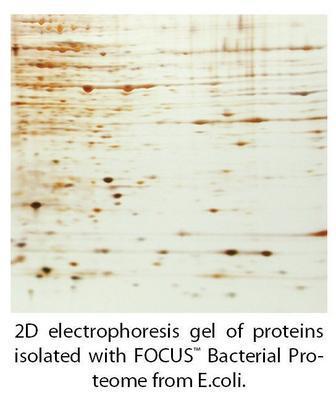 FOCUS™ Proteome Kits, G-Biosciences