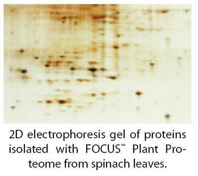 FOCUS™ Proteome Kits, G-Biosciences