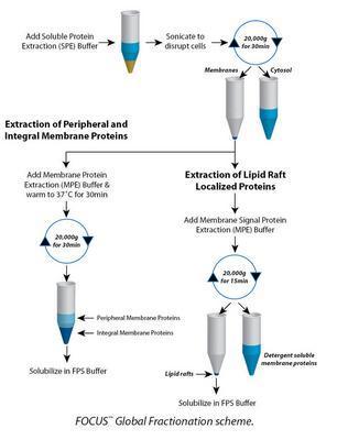 FOCUS™ Global Fractionation, G-Biosciences