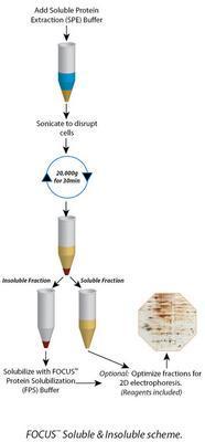 FOCUS™ Soluble & Insoluble, G-Biosciences