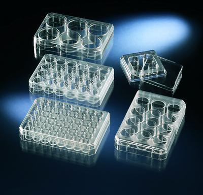 Nunc® Multidishes, Non-treated, Thermo Scientific