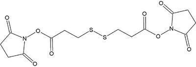 Homobifunctional Cross Linkers, G-Biosciences