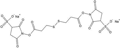 Homobifunctional Cross Linkers, G-Biosciences