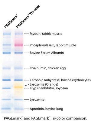 Protein Marker Ladders, G-Biosciences