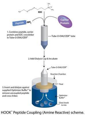 Peptide Coupling Kits, G-Biosciences